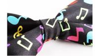 Musical Note Bow Tie - Colourful & Funky!