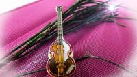 Hofner "Violin" Beatle Bass Pin