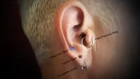 Magnetic Fake Ear Plug. Tunnel Earring Jewelry