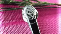 Shure Microphone Pin