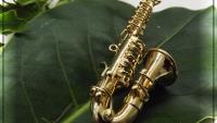 Tenor Saxophone Magnet